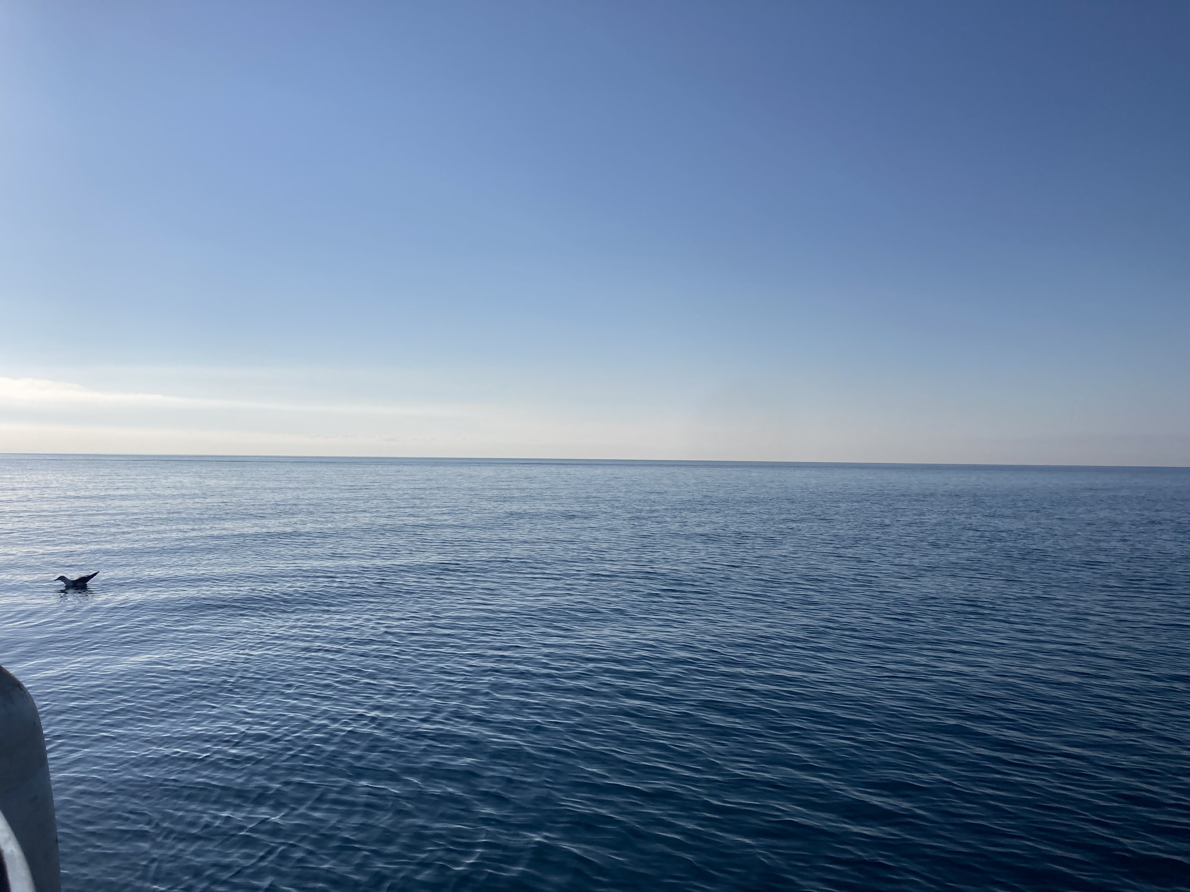 Prova in mare