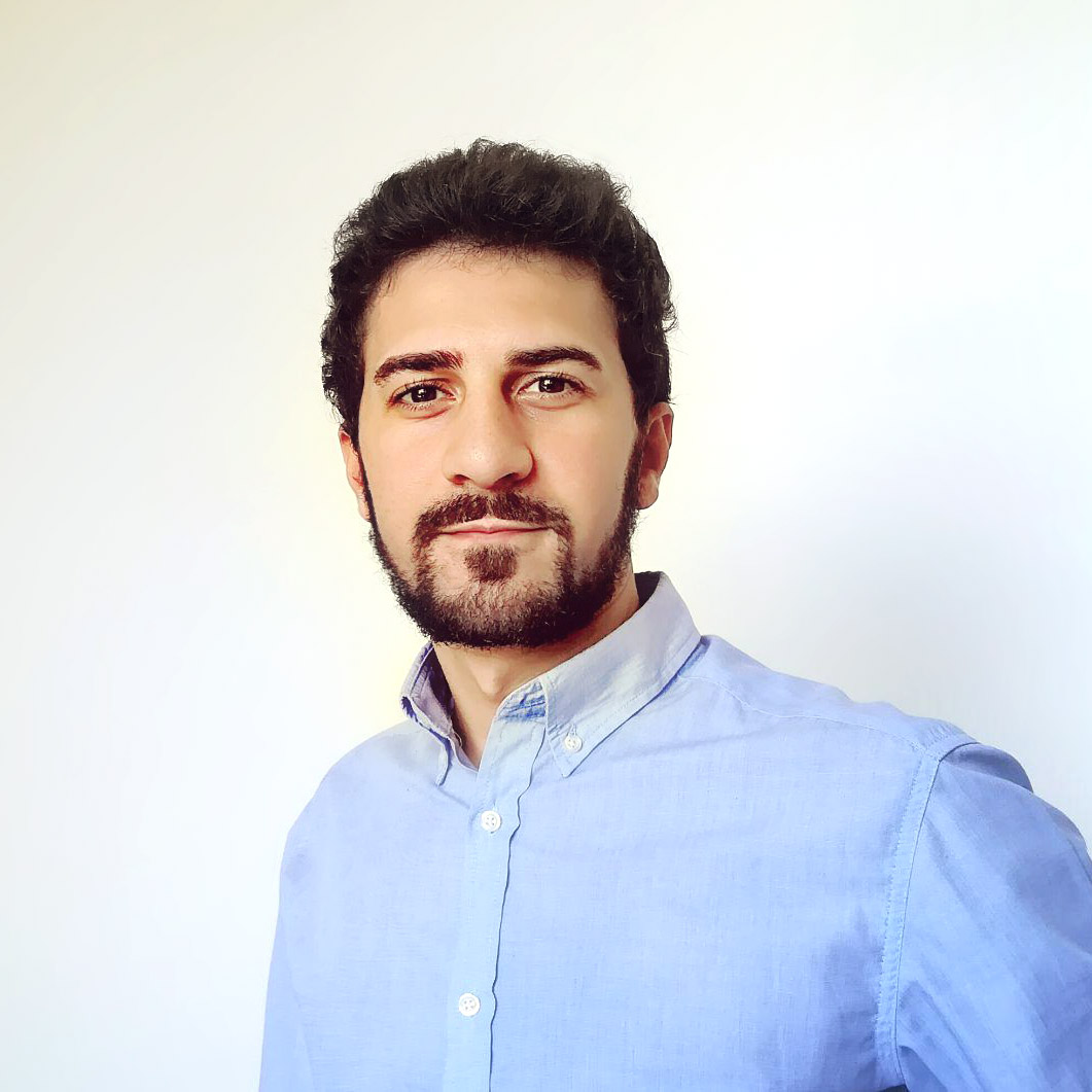 Mirko De Domenico